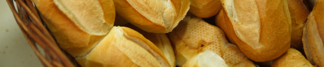 Banner principal da pagina interna do