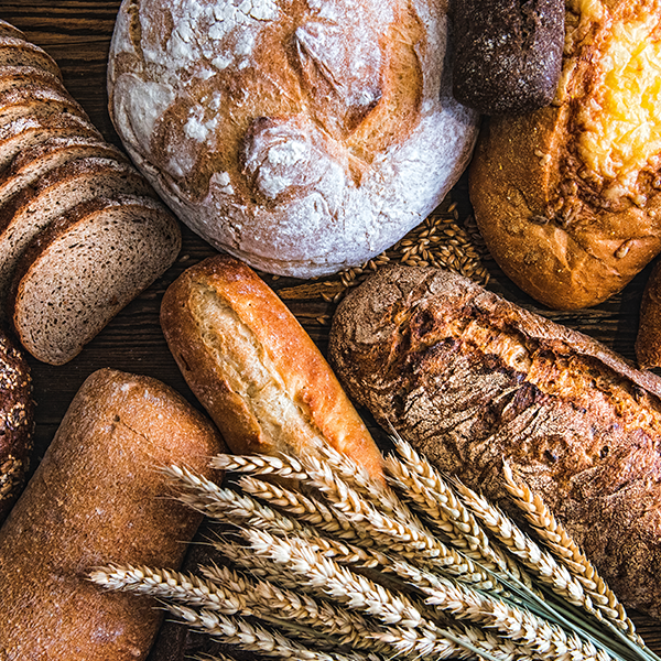 Os 10 tipos de pães que você precisa conhecer