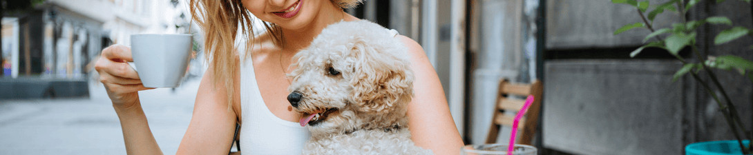 Banner principal da pagina interna do