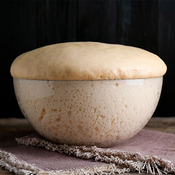 Levain líquido ou firme? Entenda as diferenças e como escolher