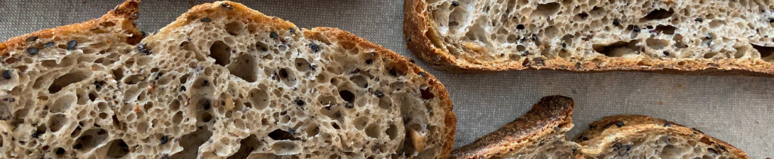 Banner principal da pagina interna do